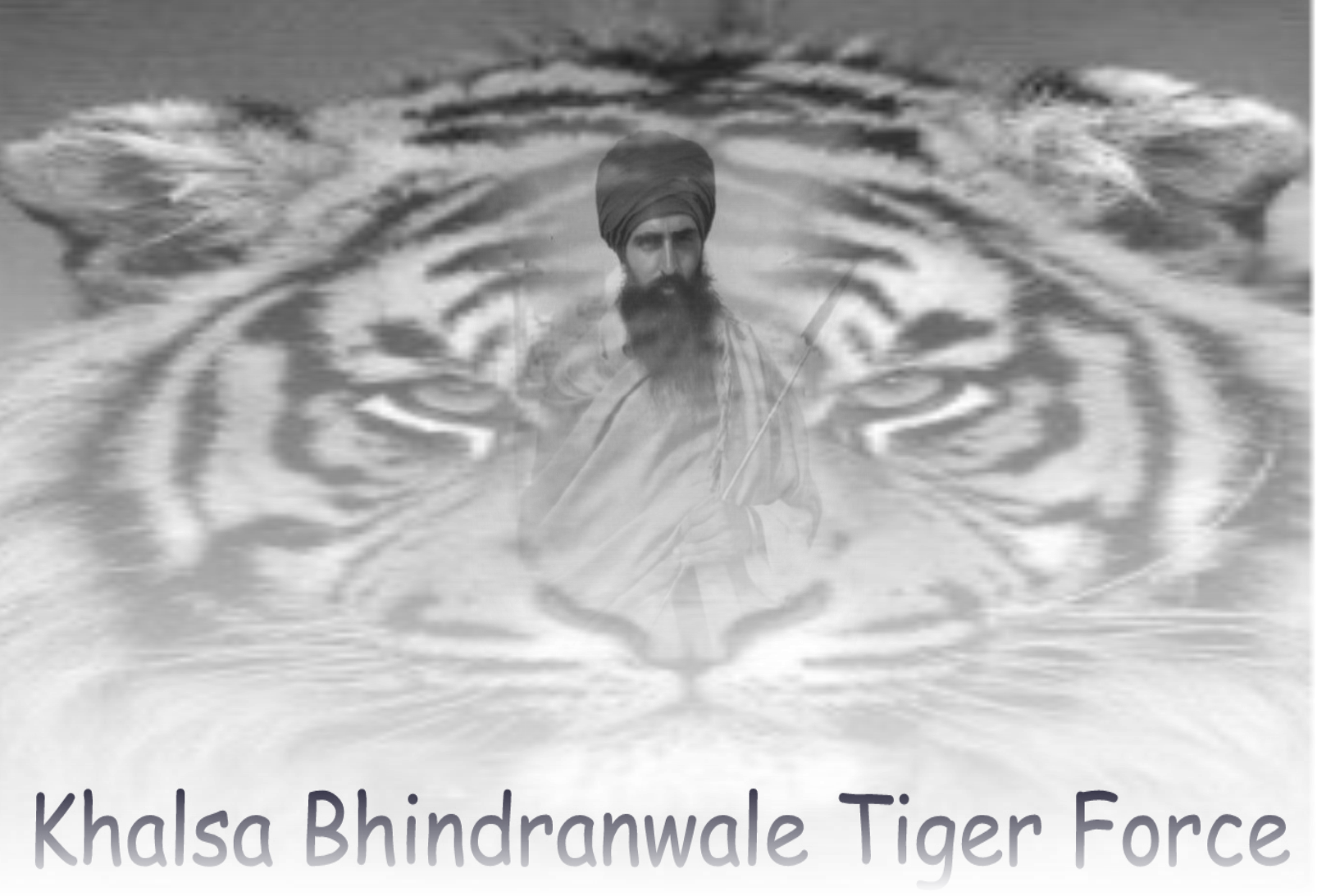 Tiger Force